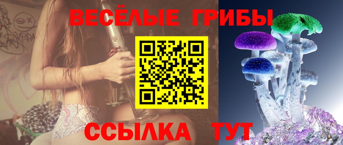 Псилоцибиновые грибы Psilocybine cubensis  Вход с VPN  Лениногорск  Псилоцибиновые грибы MAGIC MUSHROOMS 